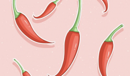 红辣椒动漫,穿越梦境的奇幻冒险之旅